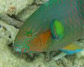 IMG_2095 (3)